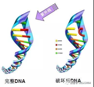 疫情當下，泳池場館的運營者們還能輕視消毒嗎？